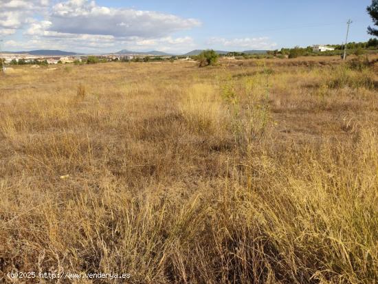 PARCELLA EN ZONA RESIDENCIAL DE 600 M2. - ALBACETE