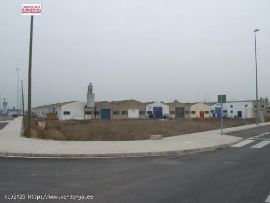  PARCELAS EN VENTA EN POLIGONO INDUSTRIAL  ELS OLIVARONS  EN SOLLANA. - VALENCIA 