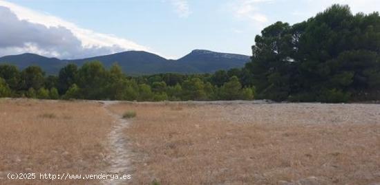 FINCA RUSTICA EN VENTA EN CASTALLA ALICANTE - ALICANTE