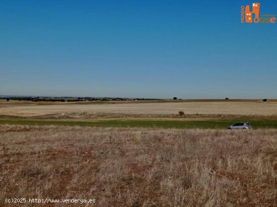 Finca rústica en Adrada de Pirón (Segovia) - SEGOVIA