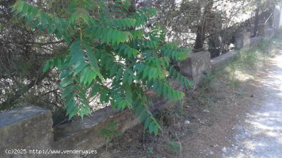 Terreno con salida a dos calles - BARCELONA