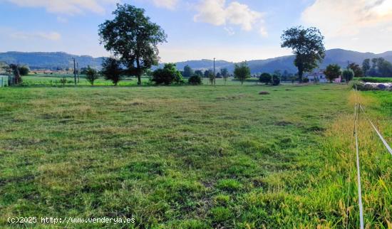 Tereno urbanizable con proyecto para una vivienda - CANTABRIA