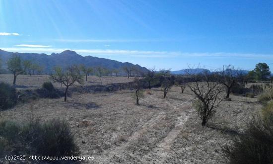 FINCA  EL SALADO A 2KM DE ABANILLA - MURCIA