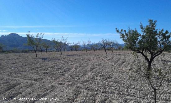 FINCA  EL SALADO A 2KM DE ABANILLA - MURCIA