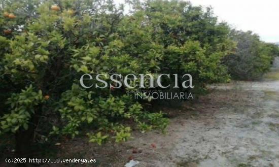 Suelo rústico en Beniarjo.Venta de 28 Fincas Rústicas en Sendero LA GALCA, POLÍGONO 3 Nº Beniarj