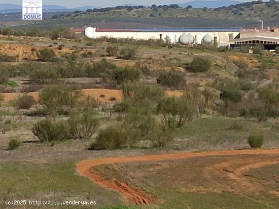 Estupendo terreno Industrial en el polígono el Prado en Mérida - BADAJOZ