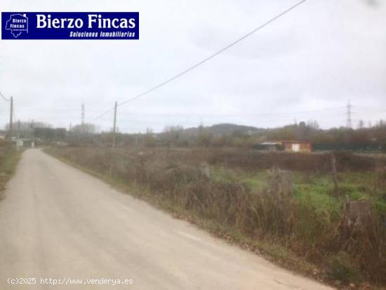 Se vende finca edificable en San Andres de Montejos - LEON