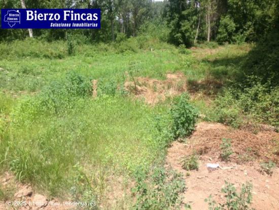 Se vende finca rustica en Dehesas - LEON