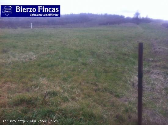 SE VENDE FINCA DE 2000M2 EN SAN ANDRES DE MONTEJOS - LEON