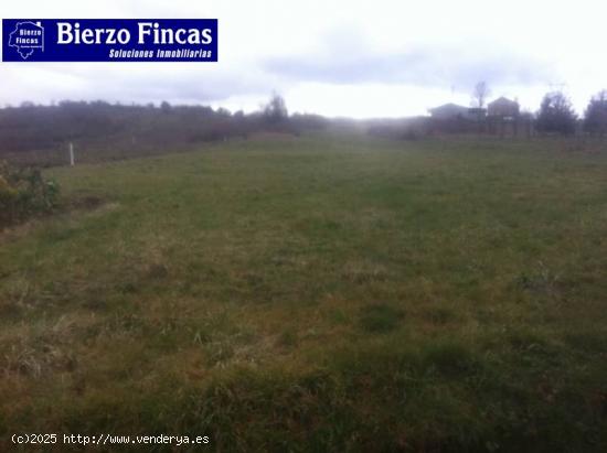 SE VENDE FINCA DE 2000M2 EN SAN ANDRES DE MONTEJOS - LEON