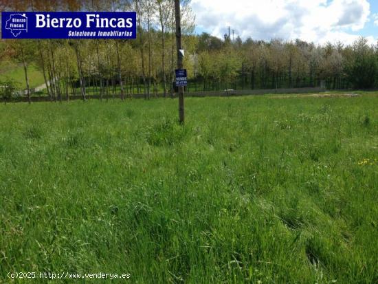 Se vende Finca rustica en la Valgoma. - LEON