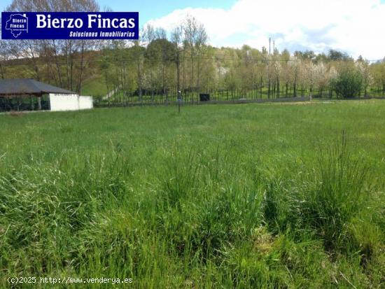 Se vende Finca rustica en la Valgoma. - LEON