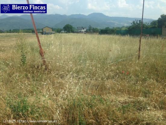 FINCA RUSTICA DE 5300 M2 EN DEHESAS - LEON