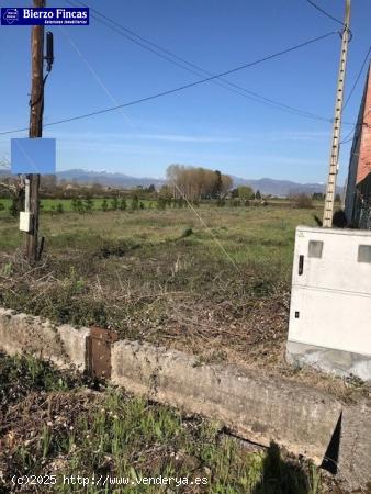 SE VENDE FINCA RUSTICA DONDE MADERAS BLANCO - LEON