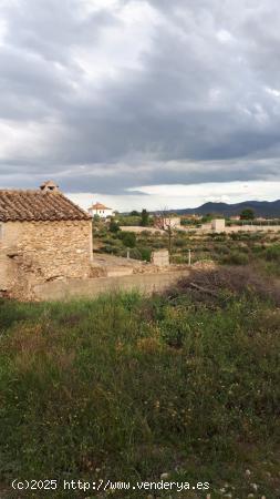 CORTIJO EN HUITAR, OLULA DEL RIO . ALMERÍA. - ALMERIA