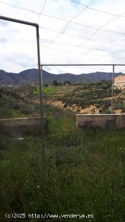 CORTIJO EN HUITAR, OLULA DEL RIO . ALMERÍA. - ALMERIA