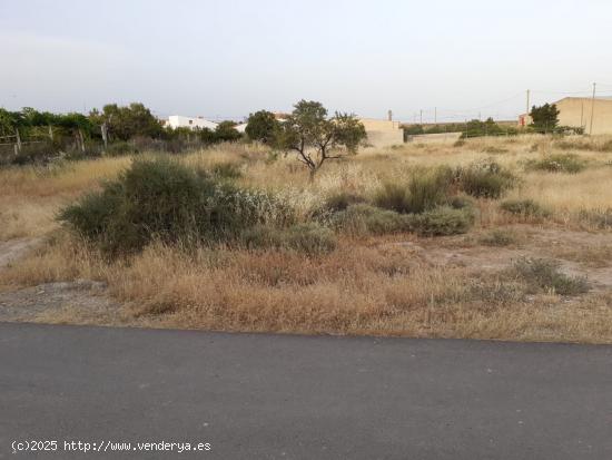 PARCELA EN HUITAR MAYOR, OLULA DEL RÍO, ALMERÍA. - ALMERIA