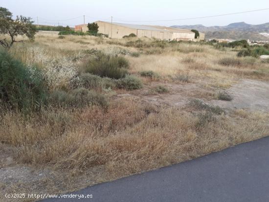 PARCELA EN HUITAR MAYOR, OLULA DEL RÍO, ALMERÍA. - ALMERIA