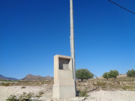 TERRENO EN EL FENAZAR - MURCIA