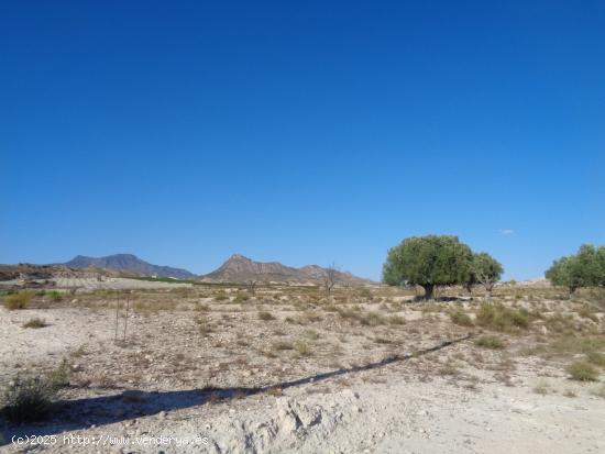 TERRENO EN EL FENAZAR - MURCIA