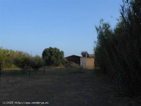 Parcela Junto al Rio Jara - CADIZ