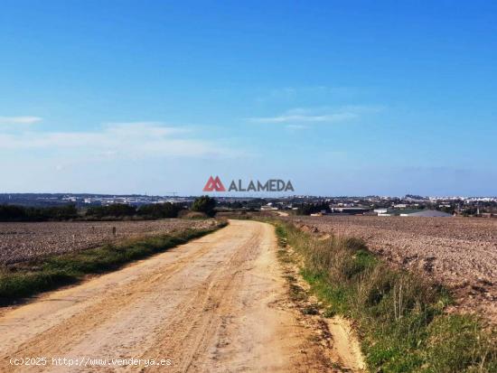 Parcela segregada de 3.353 m2 en Miralamar - CADIZ