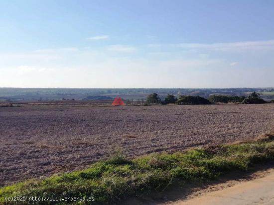 Parcela segregada de 3.353 m2 en Miralamar - CADIZ