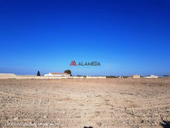 Parcela segregada de 3.353 m2 en Miralamar - CADIZ