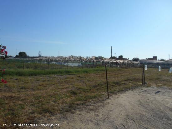 OPORTUNIDAD DE PARCELA EN SANLUCAR DE BARRAMEDA - CADIZ