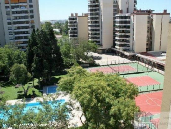 PLAZA DE PARKING EN JEREZ DE LA FRONTERA - CADIZ