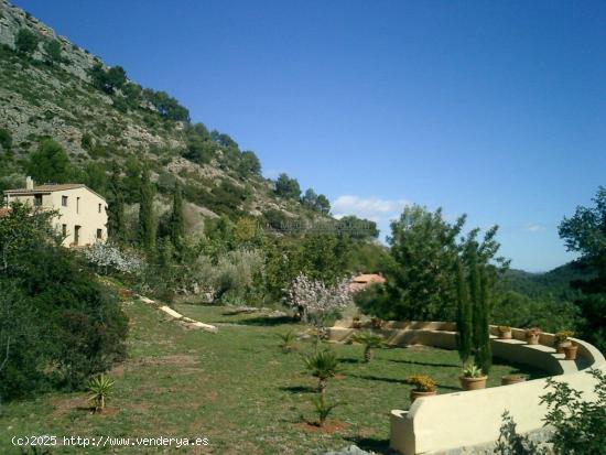 Casa en el desierto de las palmas - CASTELLON