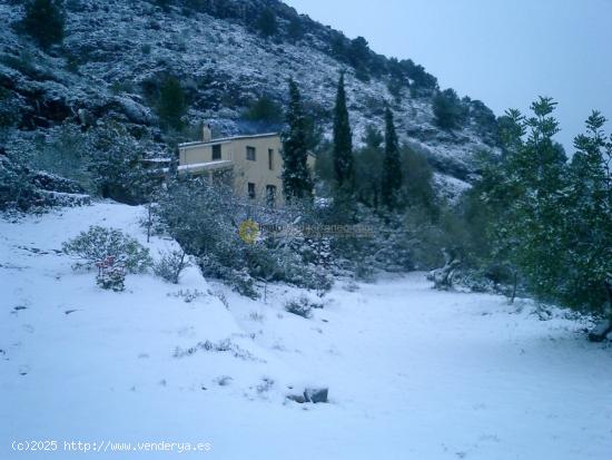 Casa en el desierto de las palmas - CASTELLON