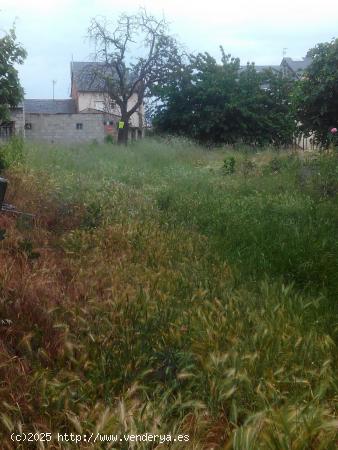 TERRENO URBANO EN CACABELOS - LEON