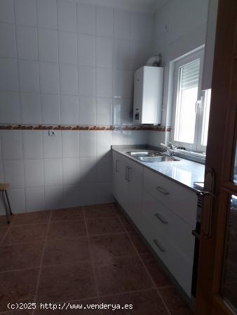  APARTAMENTO EN EL CENTRO - LEON 