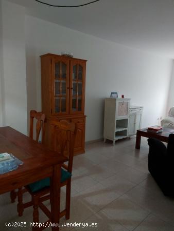 APARTAMENTO EN EL CENTRO - LEON