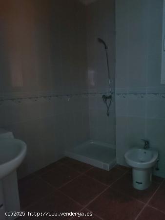 APARTAMENTO EN EL CENTRO - LEON