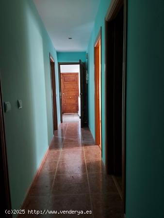 APARTAMENTO EN EL CENTRO - LEON