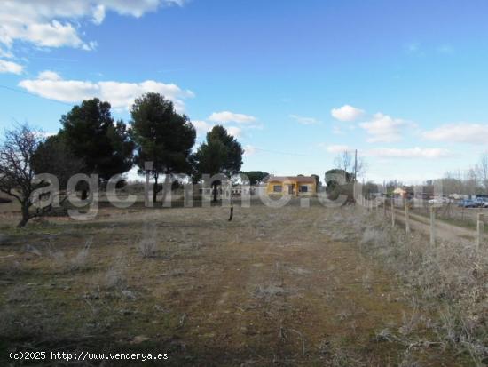  Parcela con vivienda. - VALLADOLID 