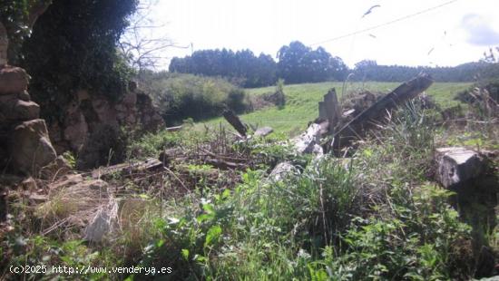 Ruinas - CANTABRIA