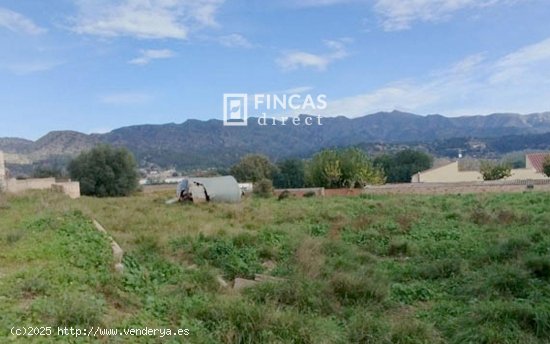 Finca en venta en Xerta (Tarragona)