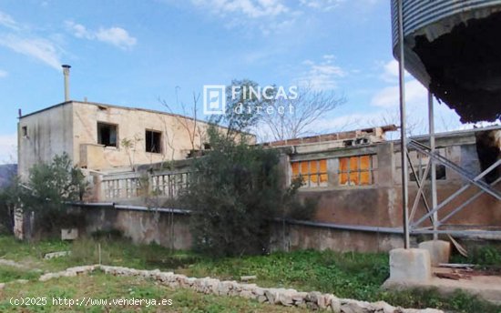 Finca en venta en Xerta (Tarragona)