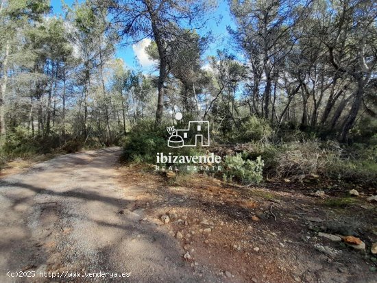 Parcela en venta en Sant Joan de Labritja (Baleares)