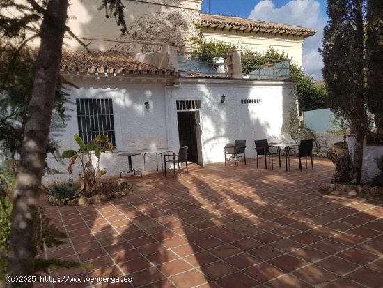  Casa en alquiler en Málaga (Málaga) 