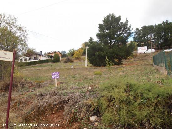 VENTA DE TERRENO URBANO EN PATRICIA - LEON