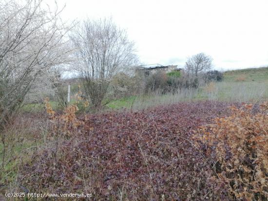 SE VENDE TERRENO RUSTICO CON POZO Y EDIFICACION EN FUENTESNUEVAS - LEON