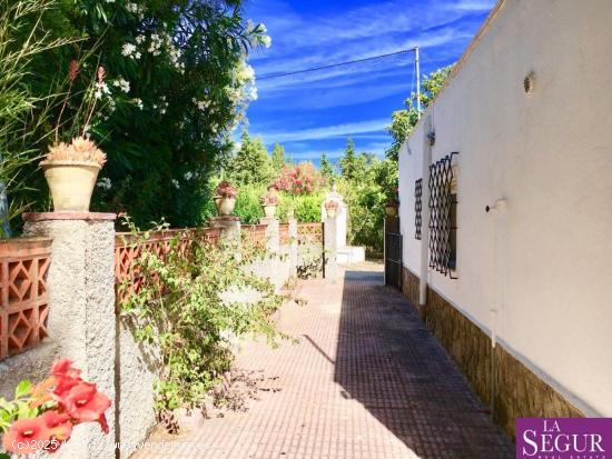 Fantástico terreno con construcciones en La Muela - CADIZ