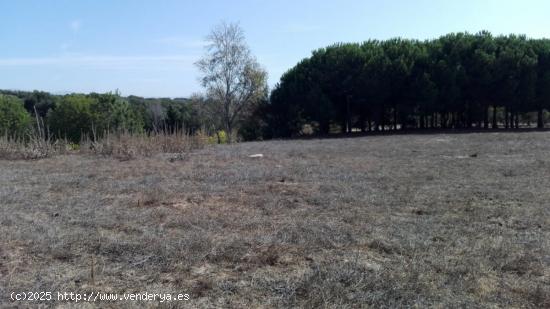 Estupenda Parcela Rústica entre Vejer y Benalup - CADIZ