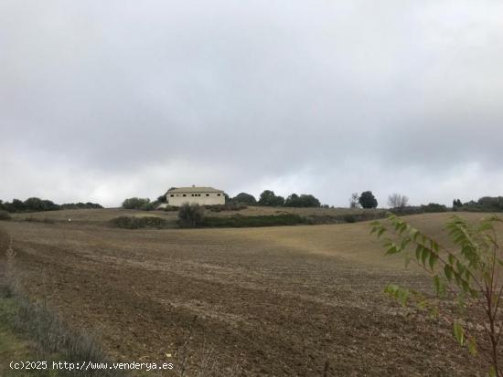 ESTUPENDA FINCA RÚSTICA CON CONSTRUCCIÓN - CADIZ