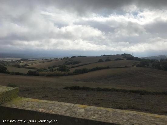 ESTUPENDA FINCA RÚSTICA CON CONSTRUCCIÓN - CADIZ