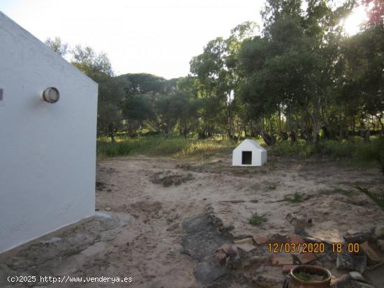 ESTUPENDA CASA EN TERRENO PRÓXIMA A VEJER DE LA FRONTERA - CADIZ